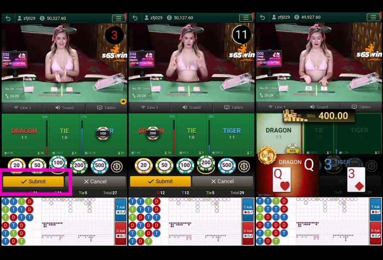 เสือมังกร7