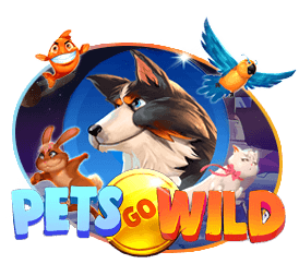Pets Go Wild